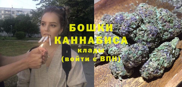 прущие грибы Армянск