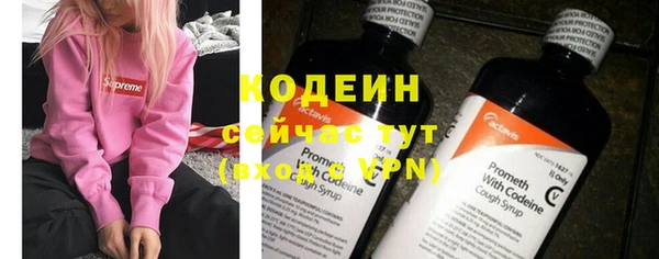 прущие грибы Армянск