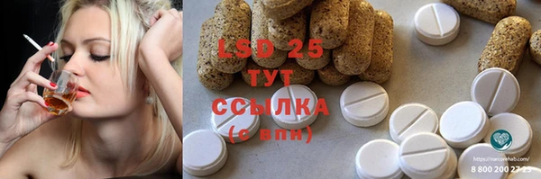 прущие грибы Армянск