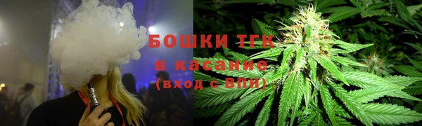 прущие грибы Армянск