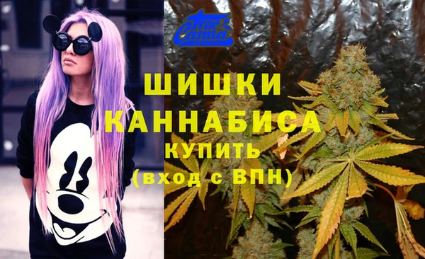 прущая мука Арсеньев
