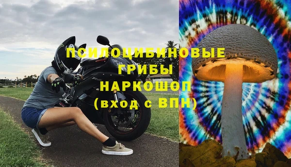эйфоретик Аркадак