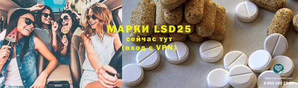 эйфоретик Аркадак