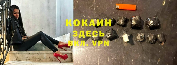 прущие грибы Армянск